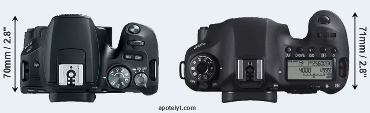 Compare 200D versus 6D top
