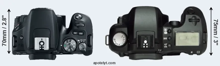 Compare 200D versus D60 top