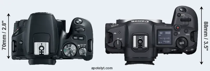 Compare 200D versus R5 top