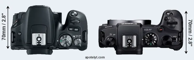 Compare 200D versus RP top