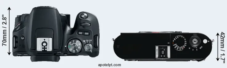 Compare 200D versus M Typ 240 top