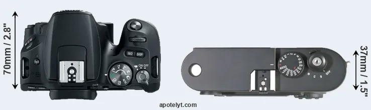 Compare 200D versus M8 top