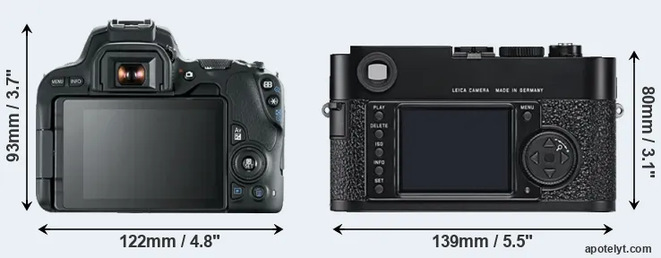 Comparison 200D or M9 rear