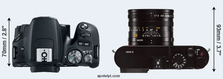 Compare 200D versus Q Typ 116 top