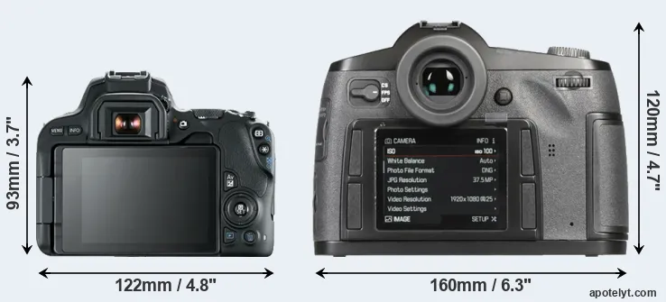 Comparison 200D or S-E Typ 006 rear