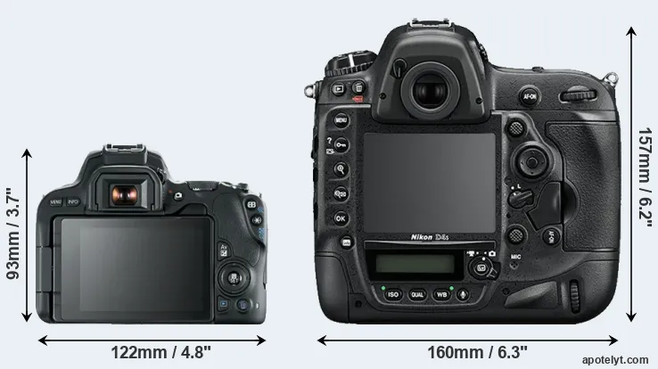 Comparison 200D or D4S rear
