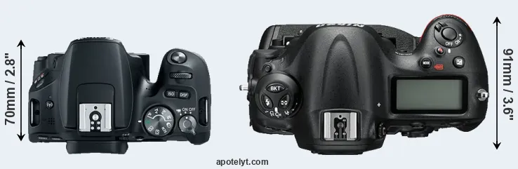 Compare 200D versus D4S top