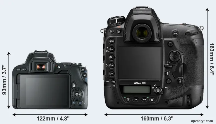 Comparison 200D or D6 rear