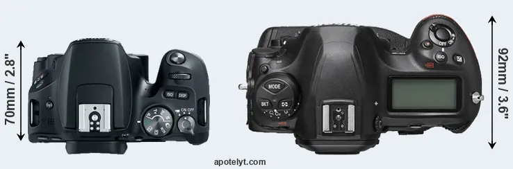 Compare 200D versus D6 top