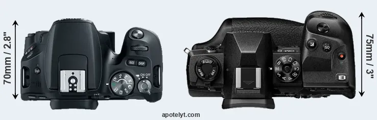 Compare 200D versus E-M1X top