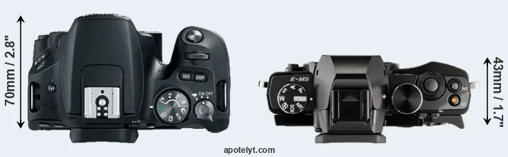 Compare 200D versus E-M5 top