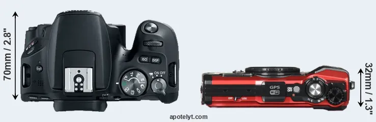 Compare 200D versus TG-5 top