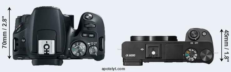 Compare 200D versus A6000 top