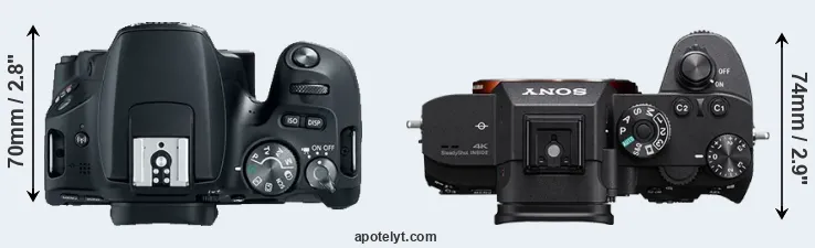 Compare 200D versus A7R III top