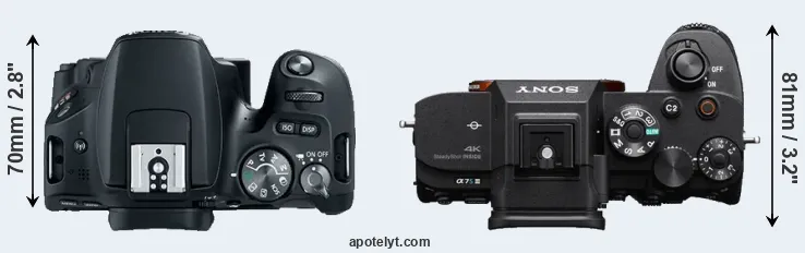 Compare 200D versus A7S III top