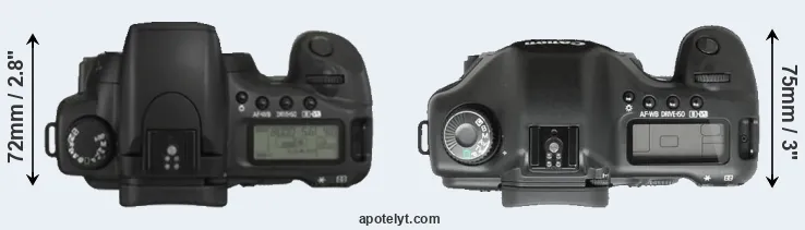 Compare 20D versus 5D top