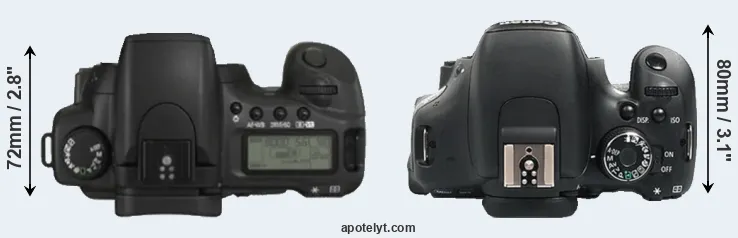 Compare 20D versus 600D top