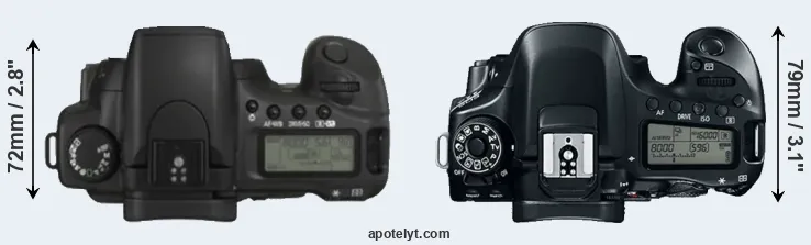 Compare 20D versus 80D top