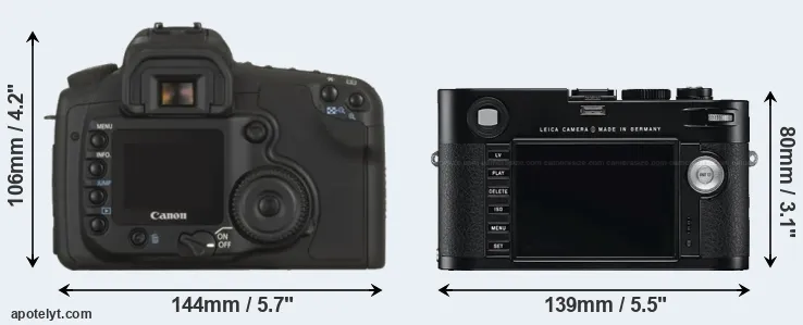 Comparison 20D or M Typ 240 rear