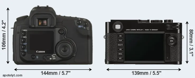 Comparison 20D or M Typ 262 rear