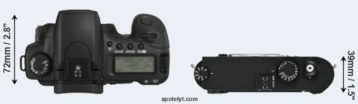 Compare 20D versus M10 top