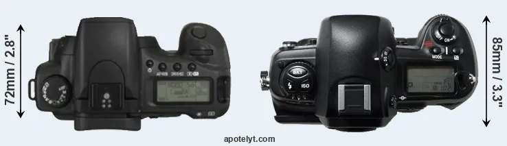 Compare 20D versus D1H top