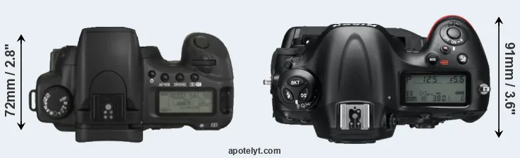 Compare 20D versus D4 top