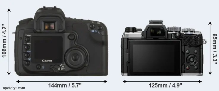 Comparison 20D or OM-5 rear