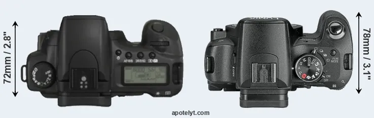 Compare 20D versus L10 top