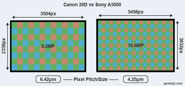 20D versus A5000 MP