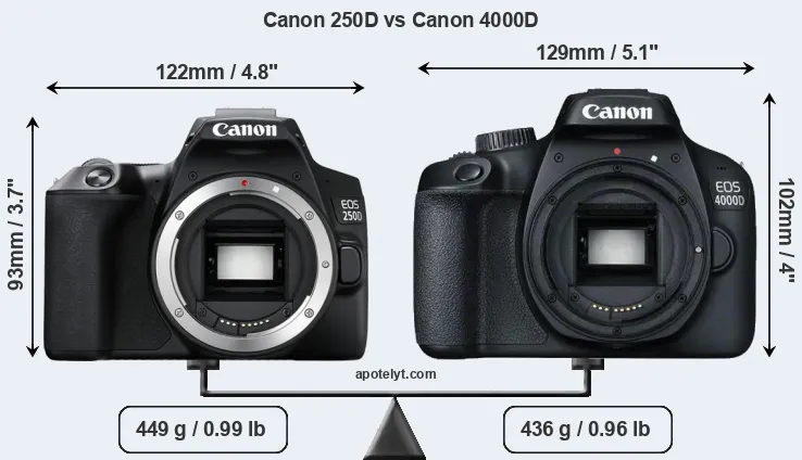 Size Canon 250D vs Canon 4000D
