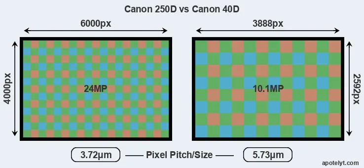 250D versus 40D MP