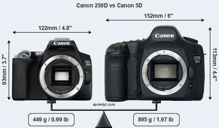 Size Canon 250D vs Canon 5D