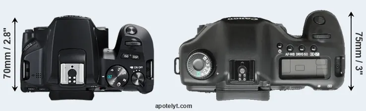 Compare 250D versus 5D top