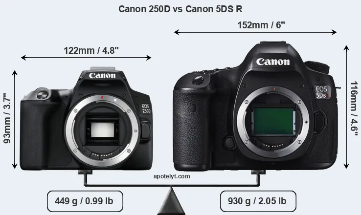 Size Canon 250D vs Canon 5DS R