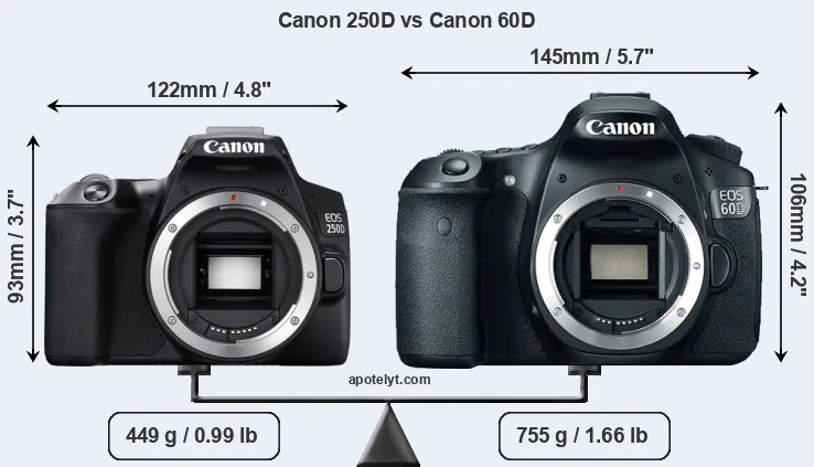 Size Canon 250D vs Canon 60D