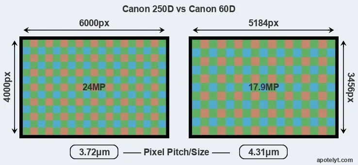 250D versus 60D MP