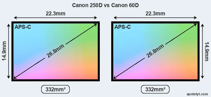 Canon 250D and Canon 60D sensor measures