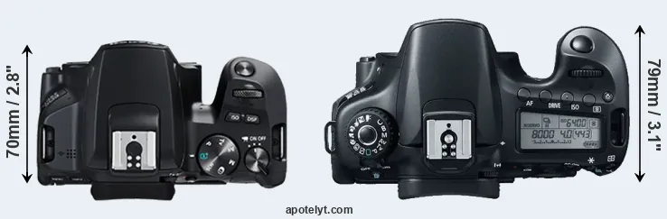 Compare 250D versus 60D top