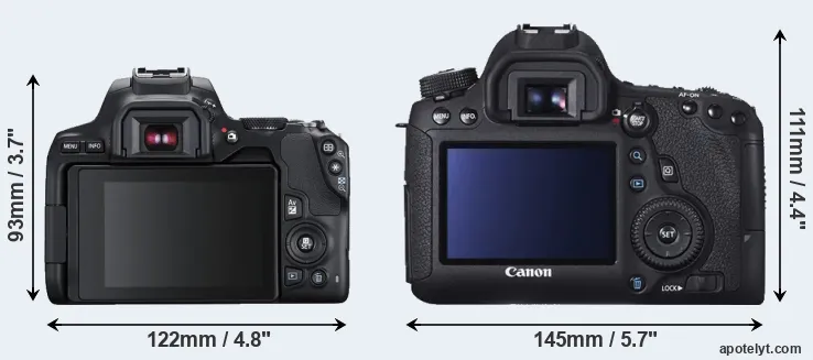 Comparison 250D or 6D rear