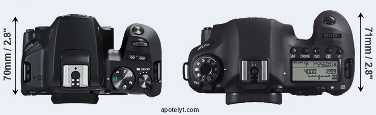 Compare 250D versus 6D top
