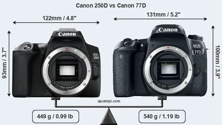 Size Canon 250D vs Canon 77D