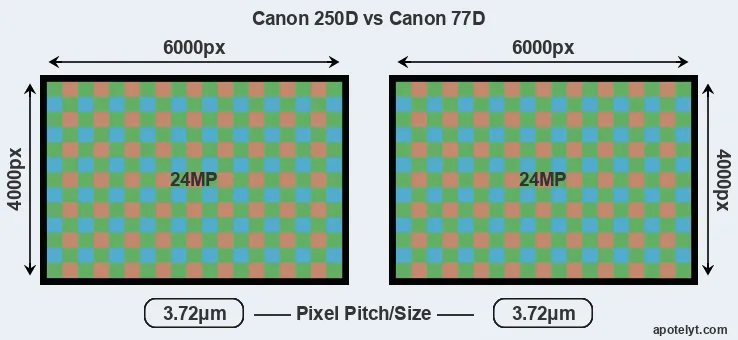 250D versus 77D MP