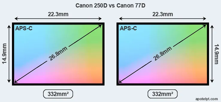 Canon 250D and Canon 77D sensor measures