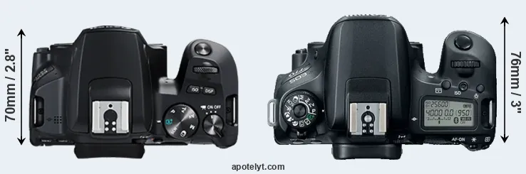 Compare 250D versus 77D top
