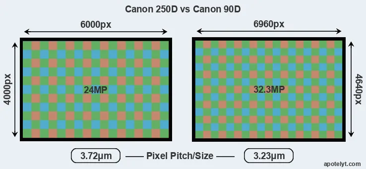 250D versus 90D MP
