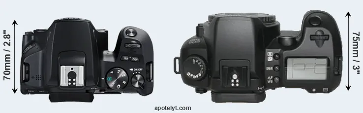 Compare 250D versus D30 top