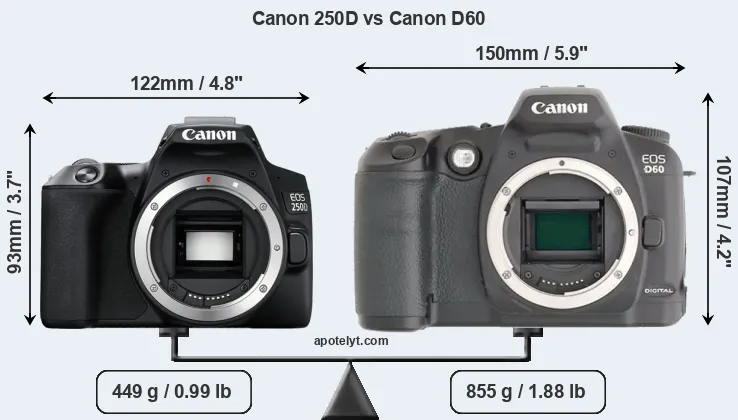 Size Canon 250D vs Canon D60