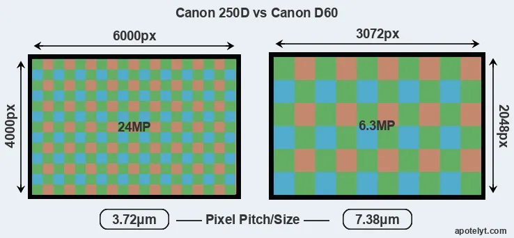 250D versus D60 MP