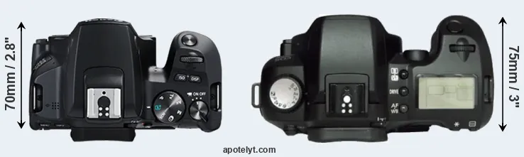Compare 250D versus D60 top